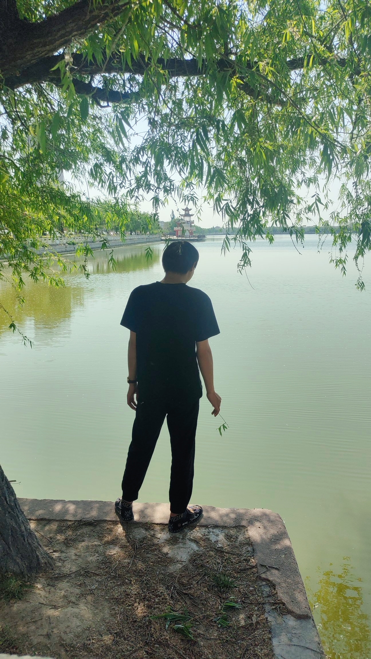 睢县恒山湖湿地公园旅行图片 3