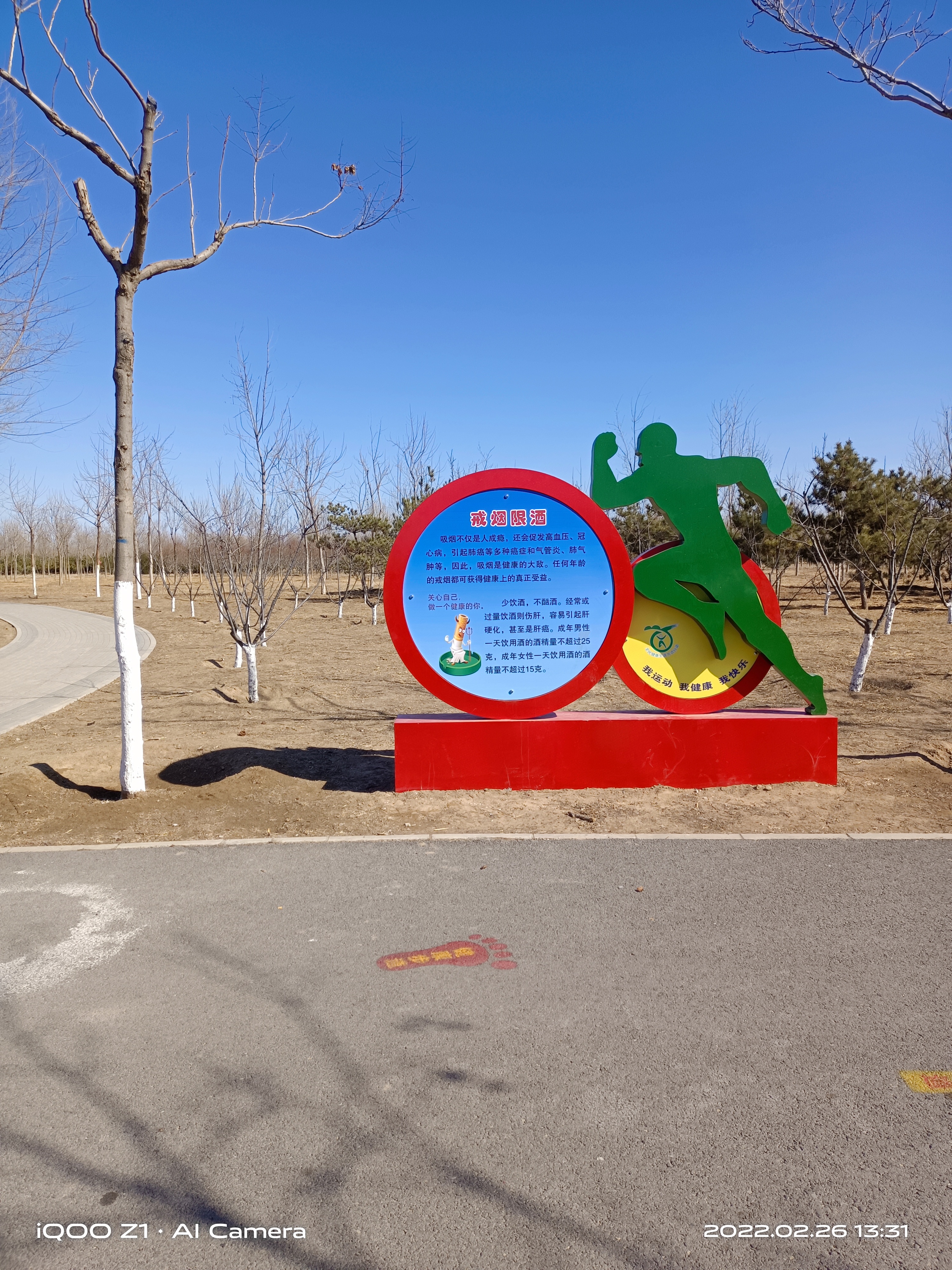 德仁务公园旅行图片 1