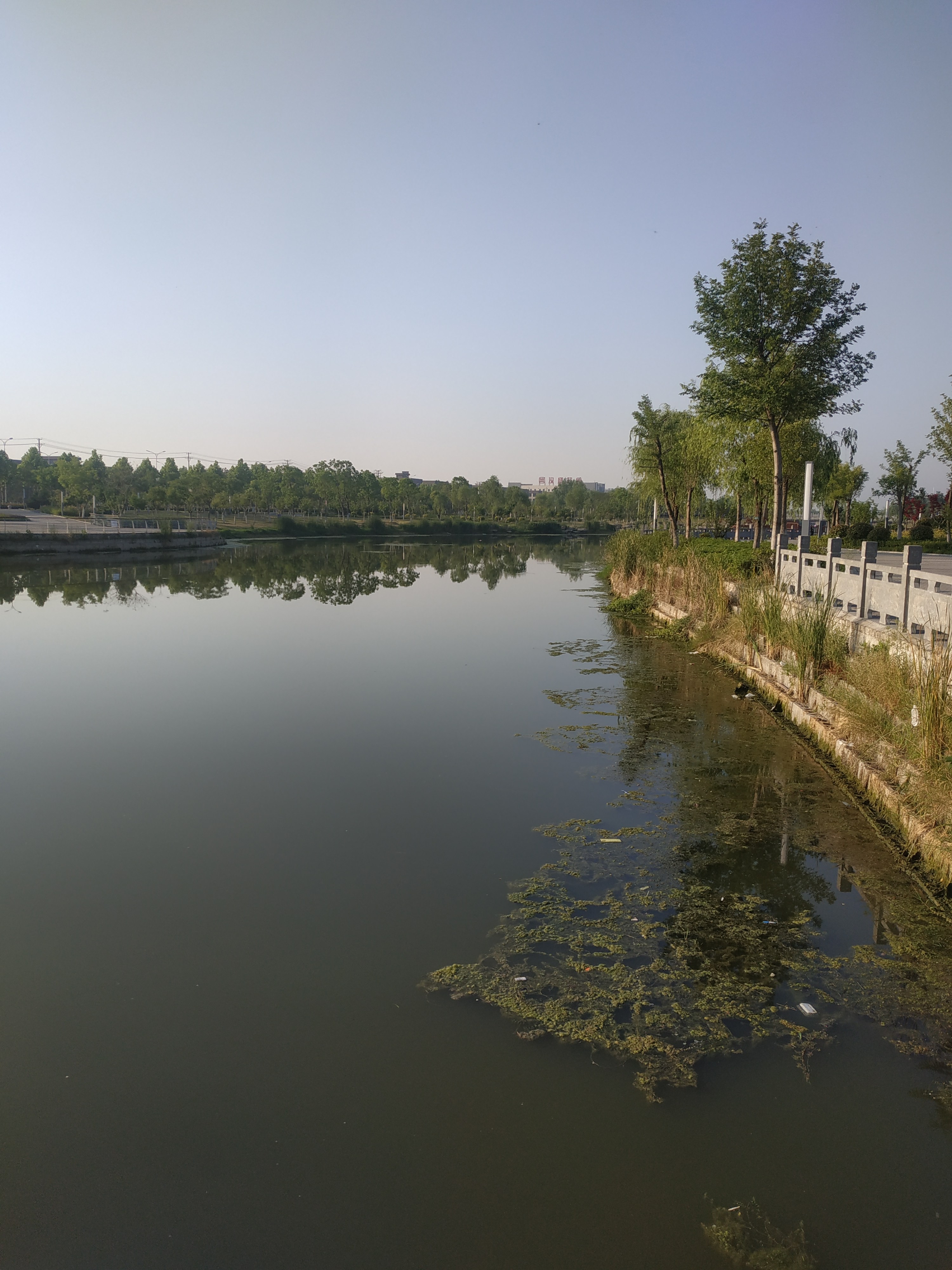 龙凤公园旅行图片 1