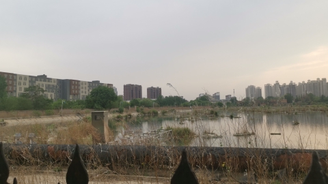 碧水公园旅行图片 1