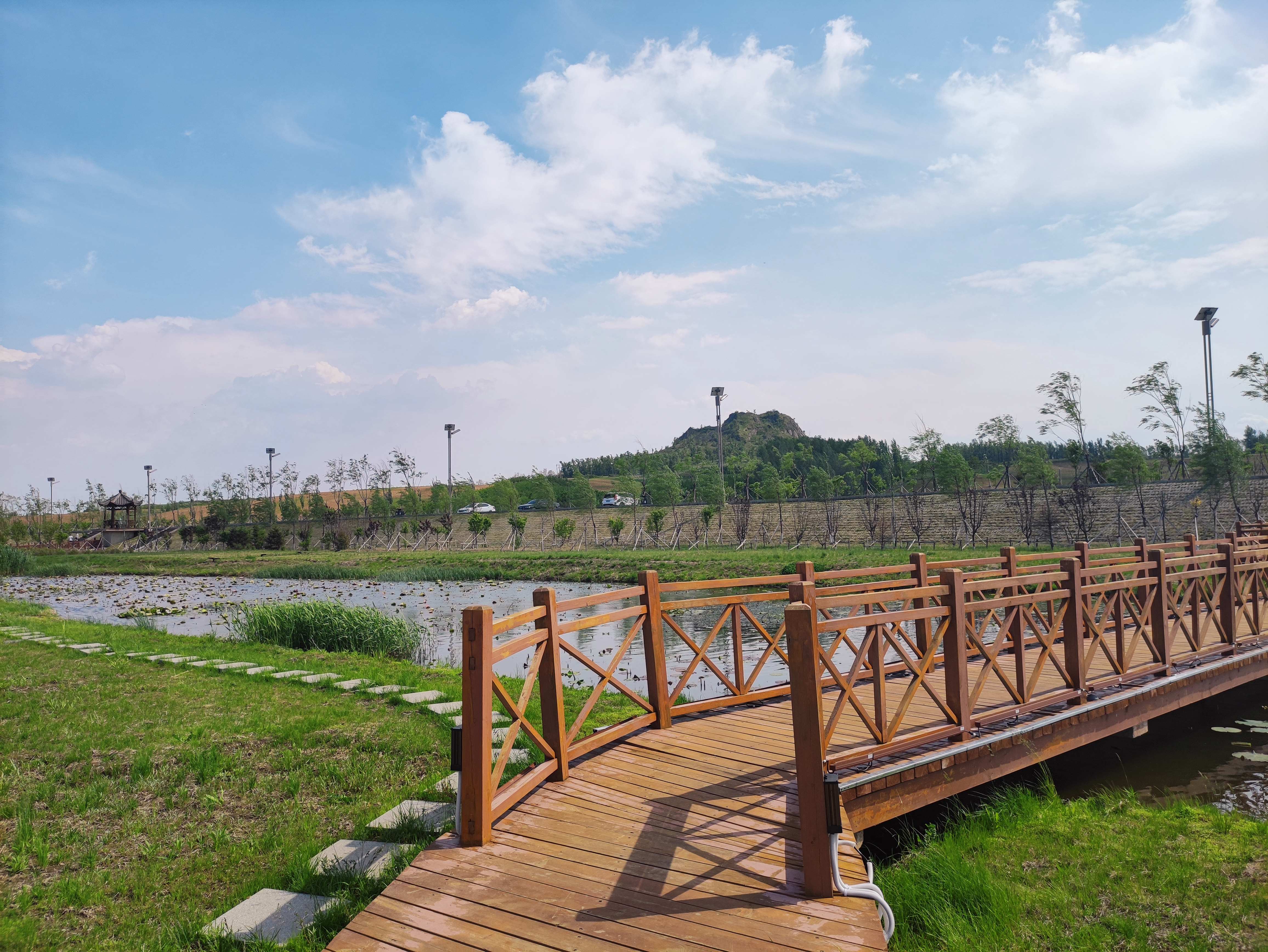 伊通满族自治县湿地公园旅行图片 2