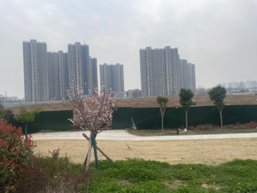 锦绣游园旅行图片 3