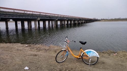 独流减河观景台旅行图片 1