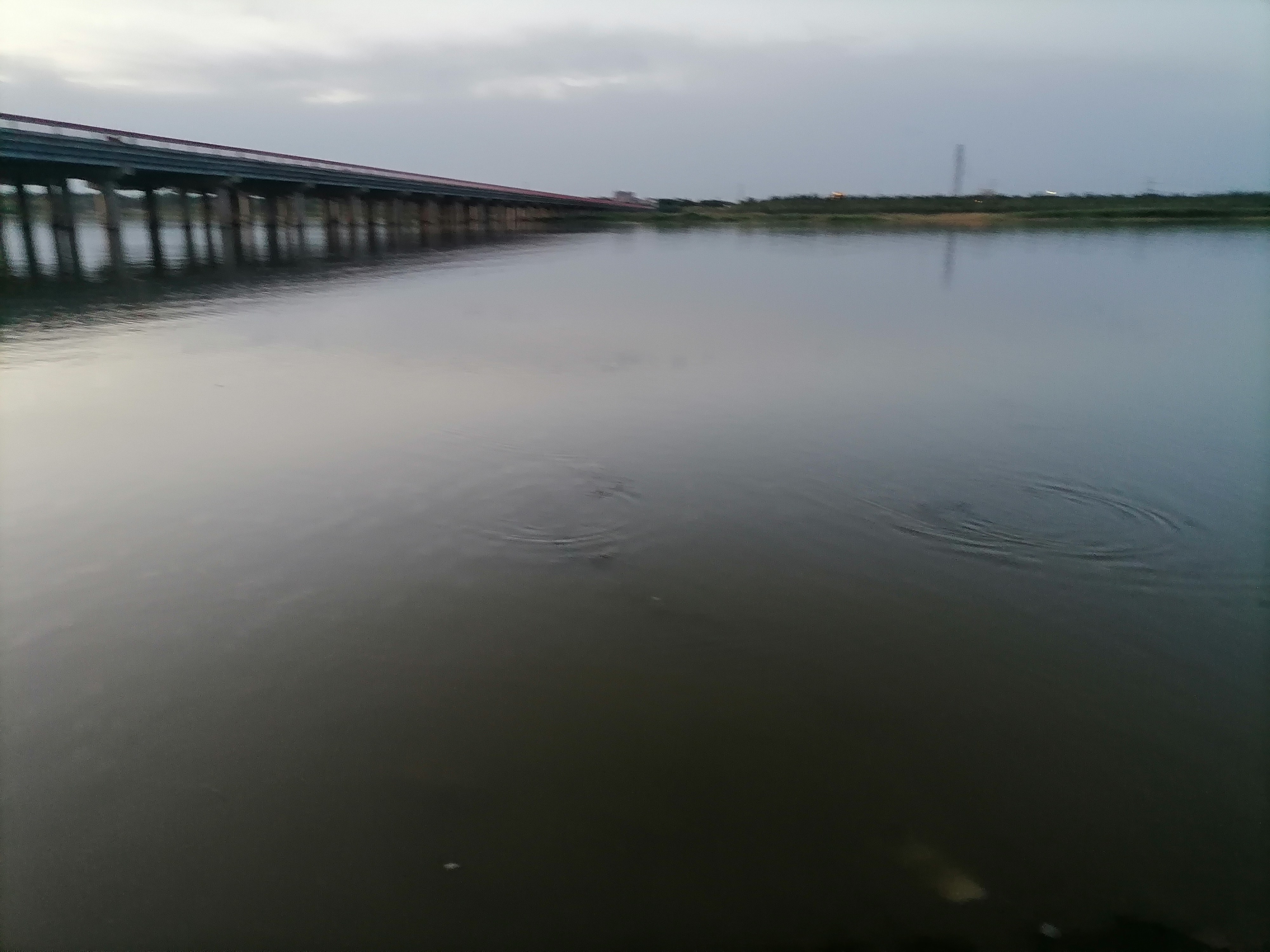 独流减河观景台旅行图片 1