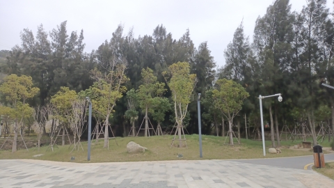 石狮体育公园旅行图片 3
