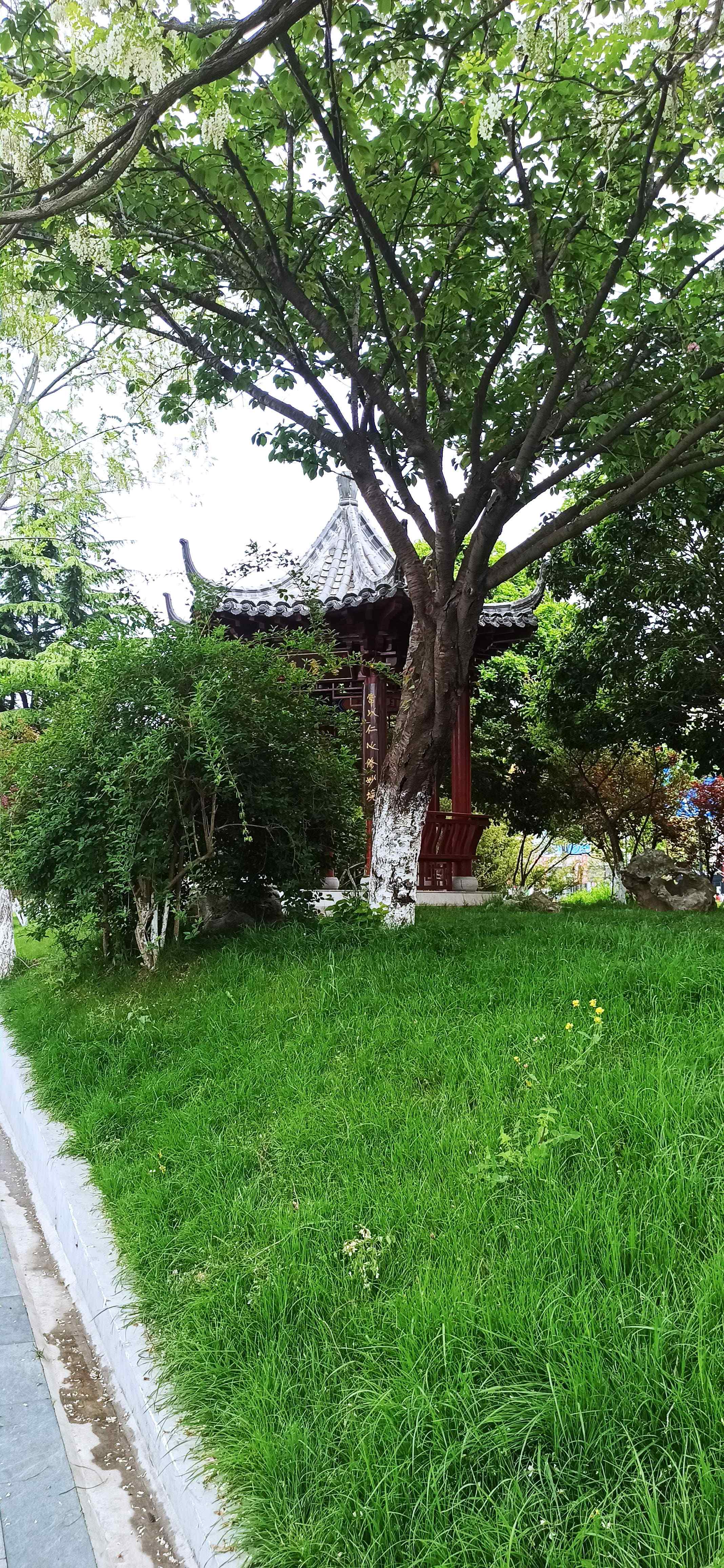 大丰慈善文化园旅行图片 3