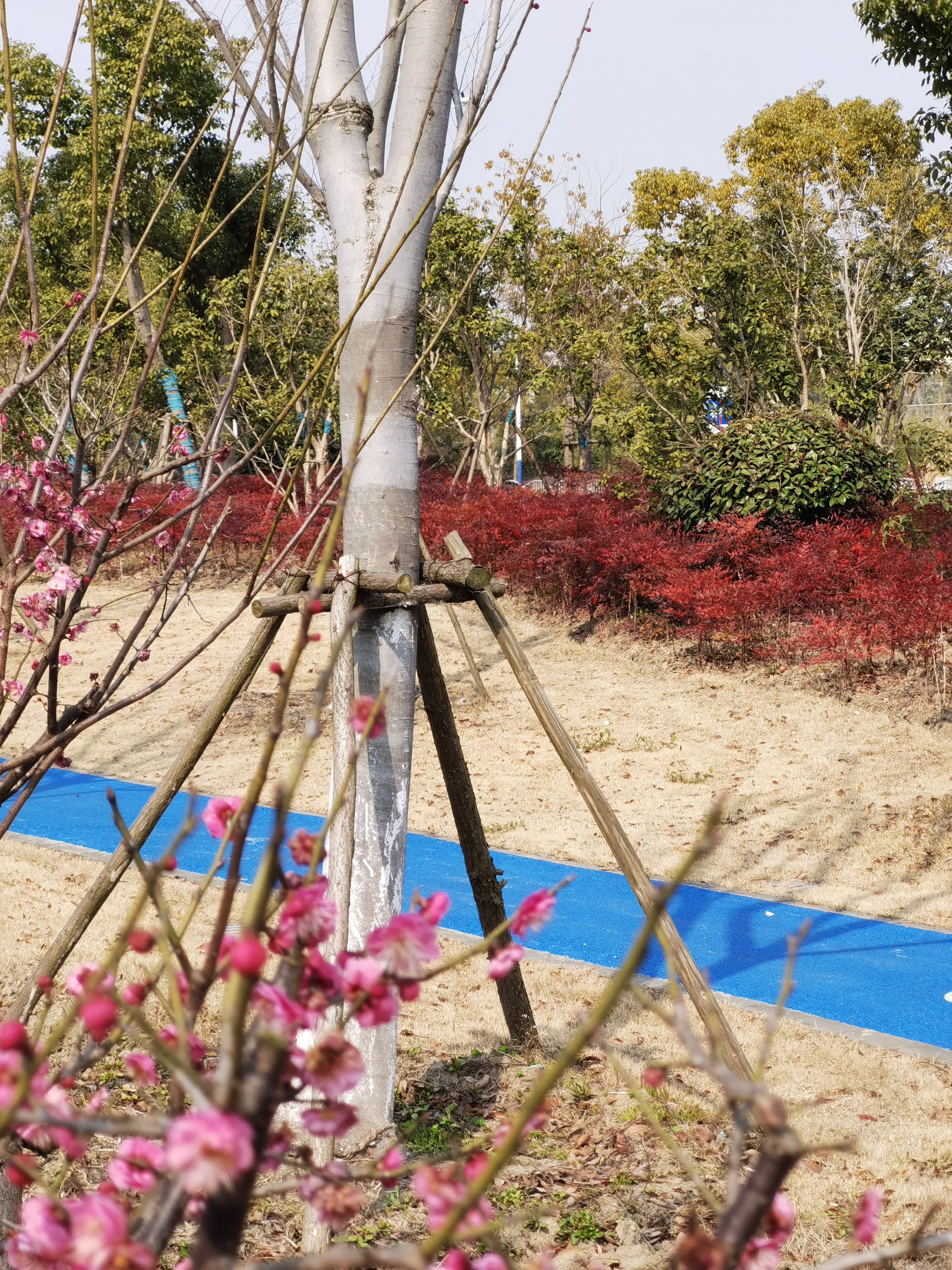 广富林东路休闲公园旅行图片 3