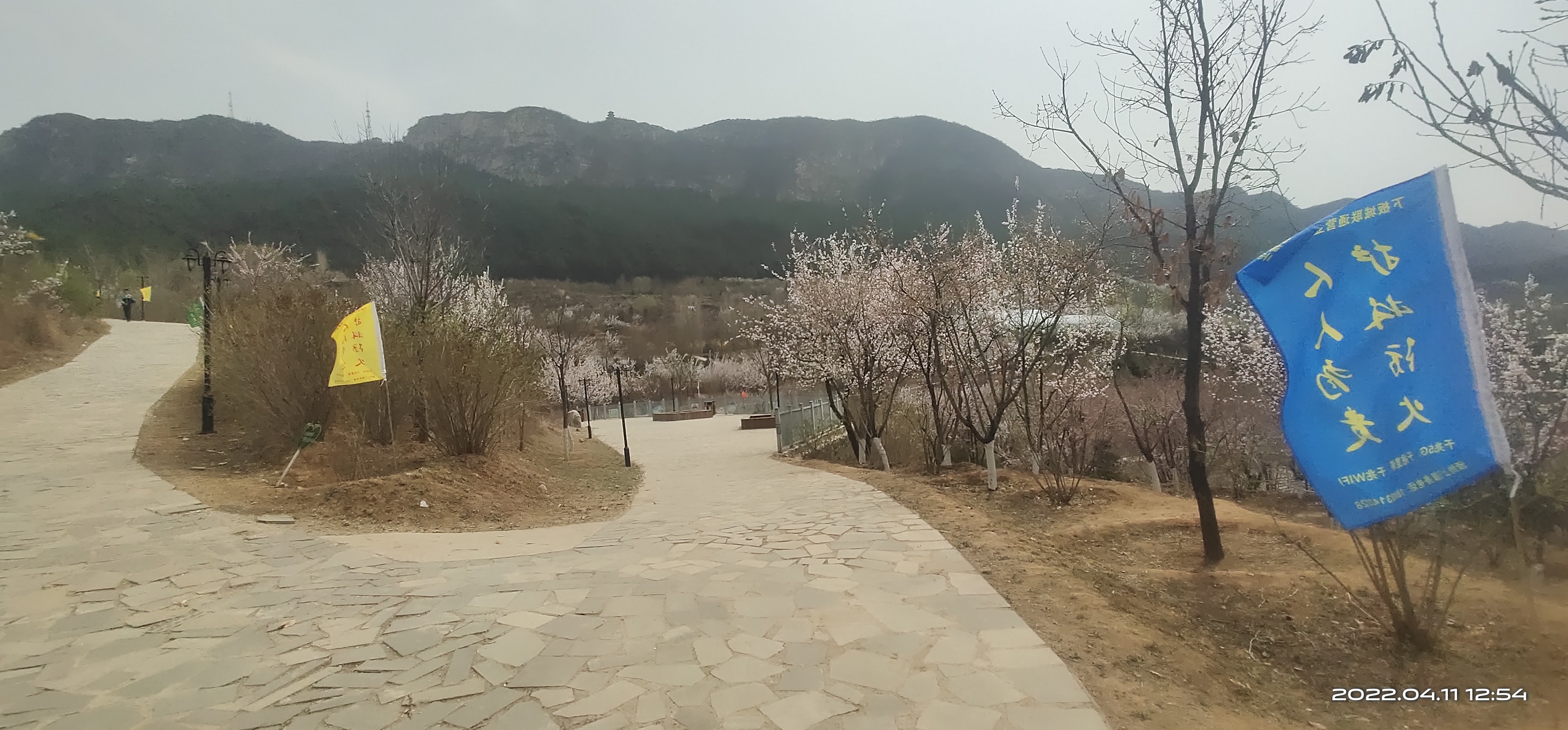 松云岭公园旅行图片 2