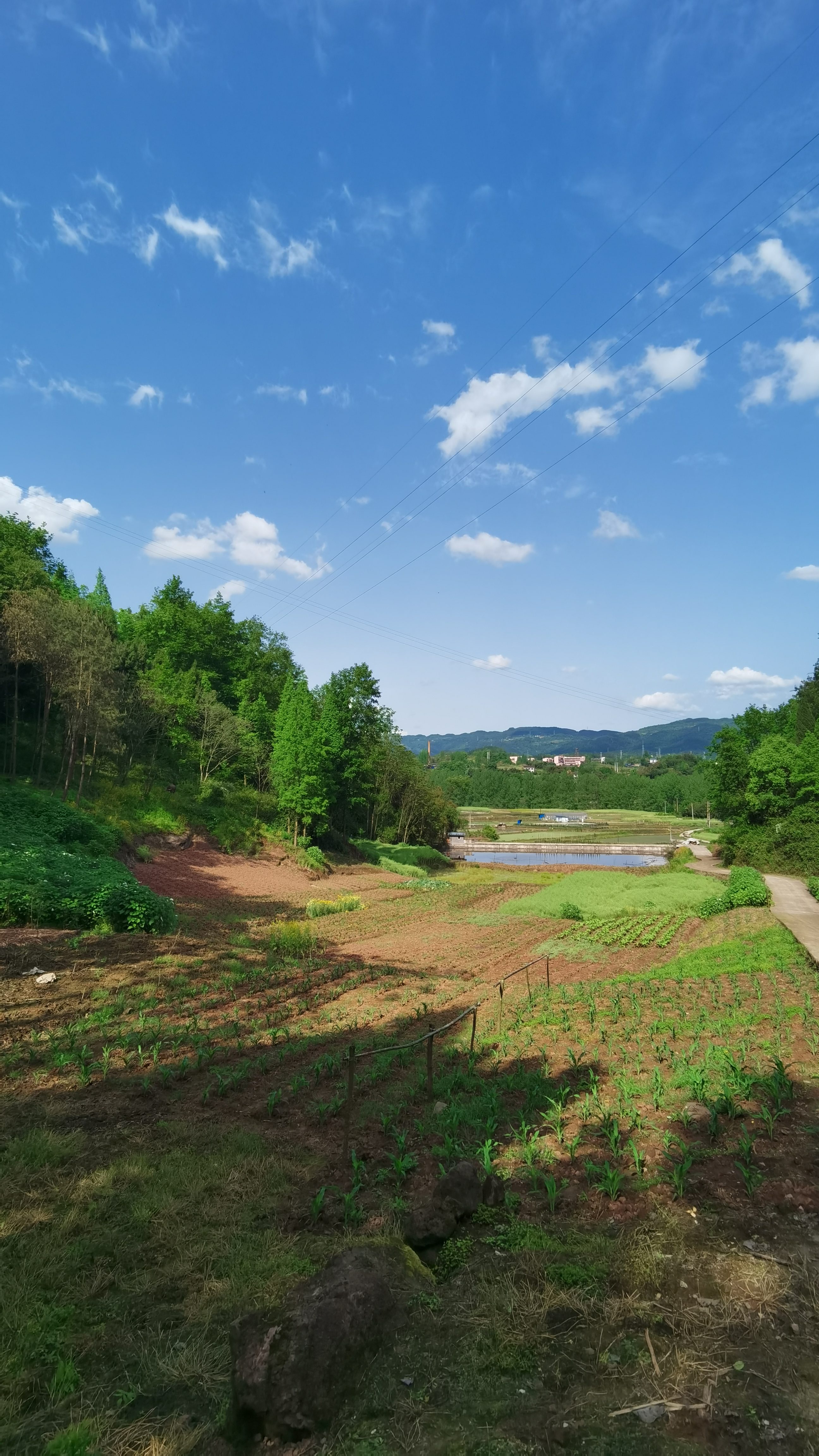 达州山水公园旅行图片 3