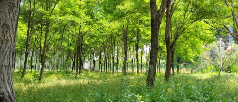 郊野公园旅行图片 2