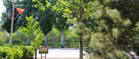郊野公园旅行图片 3