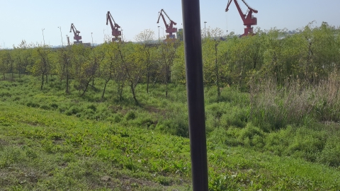 湖口最美长江岸线观光旅游景区旅行图片 2