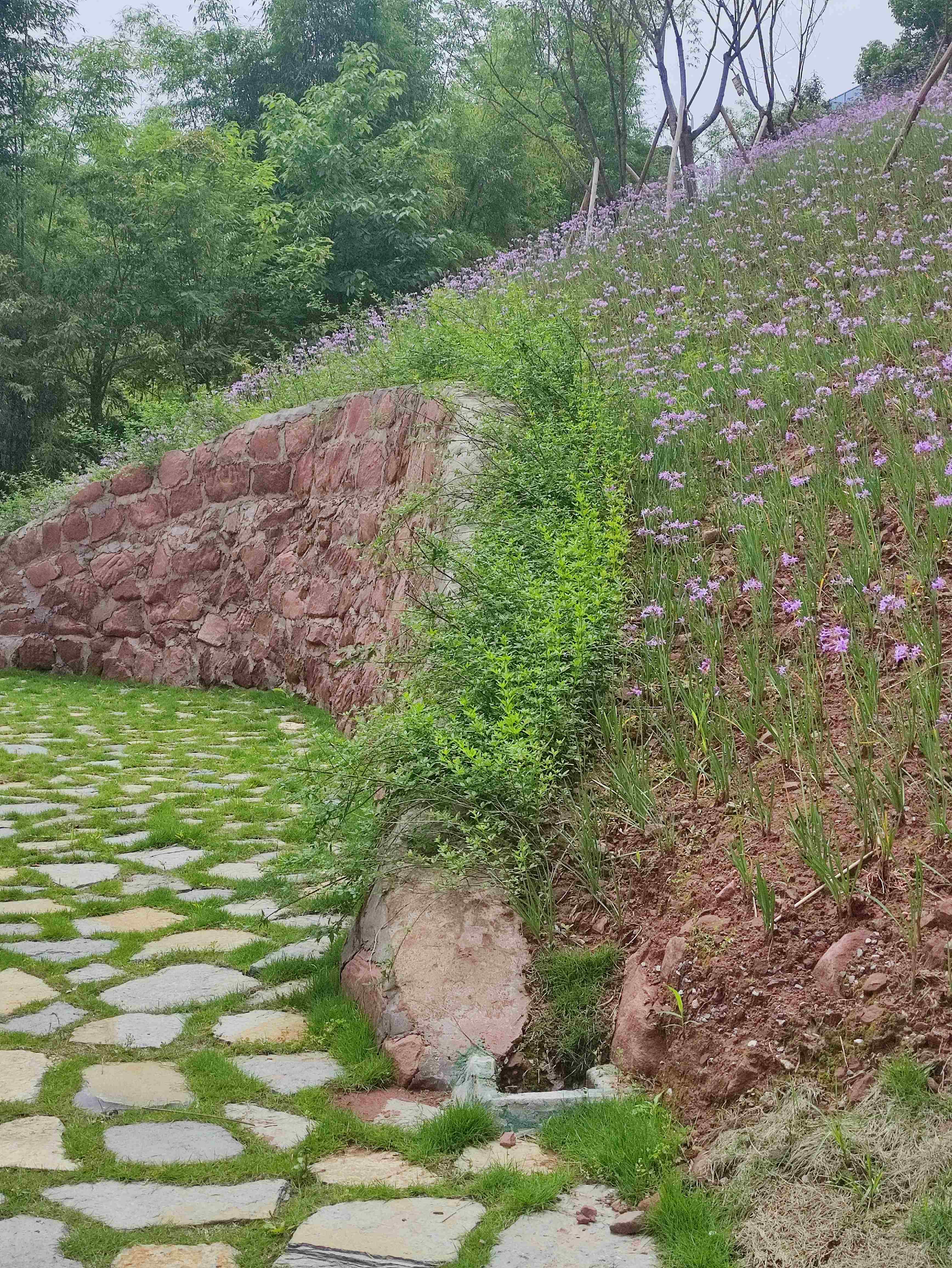 竹溪河景观主题公园旅行图片 3