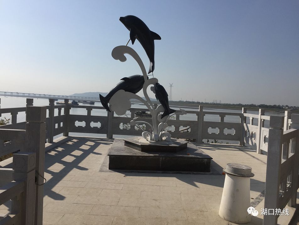 江豚观景台旅行图片 1