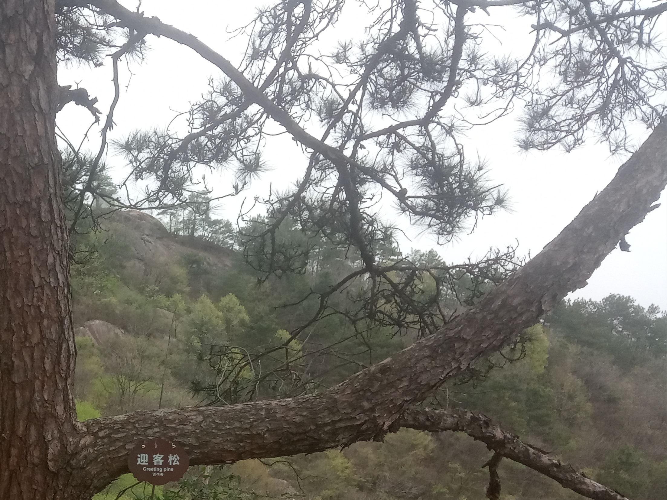 石鼓山景区旅行图片 1