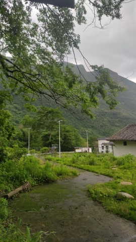 古树公园旅行图片 3