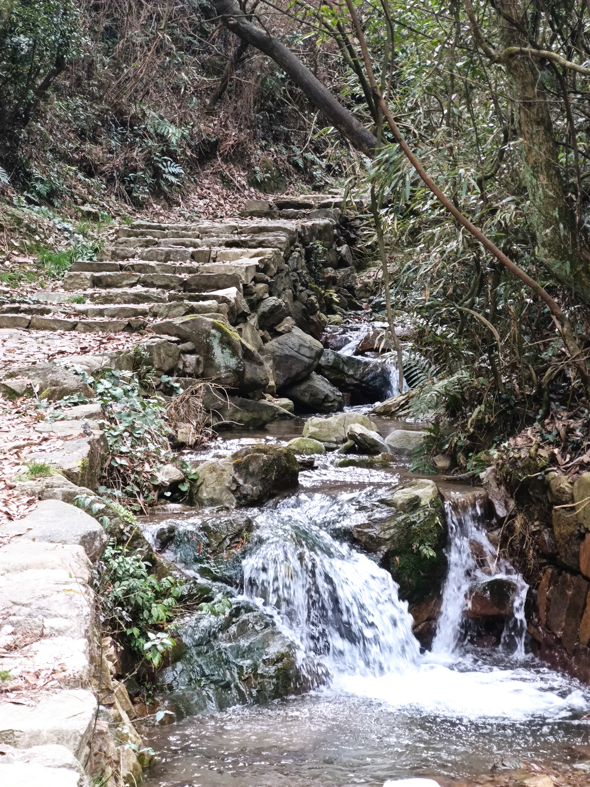 石门古道(廿四岗游步道)旅行图片 2