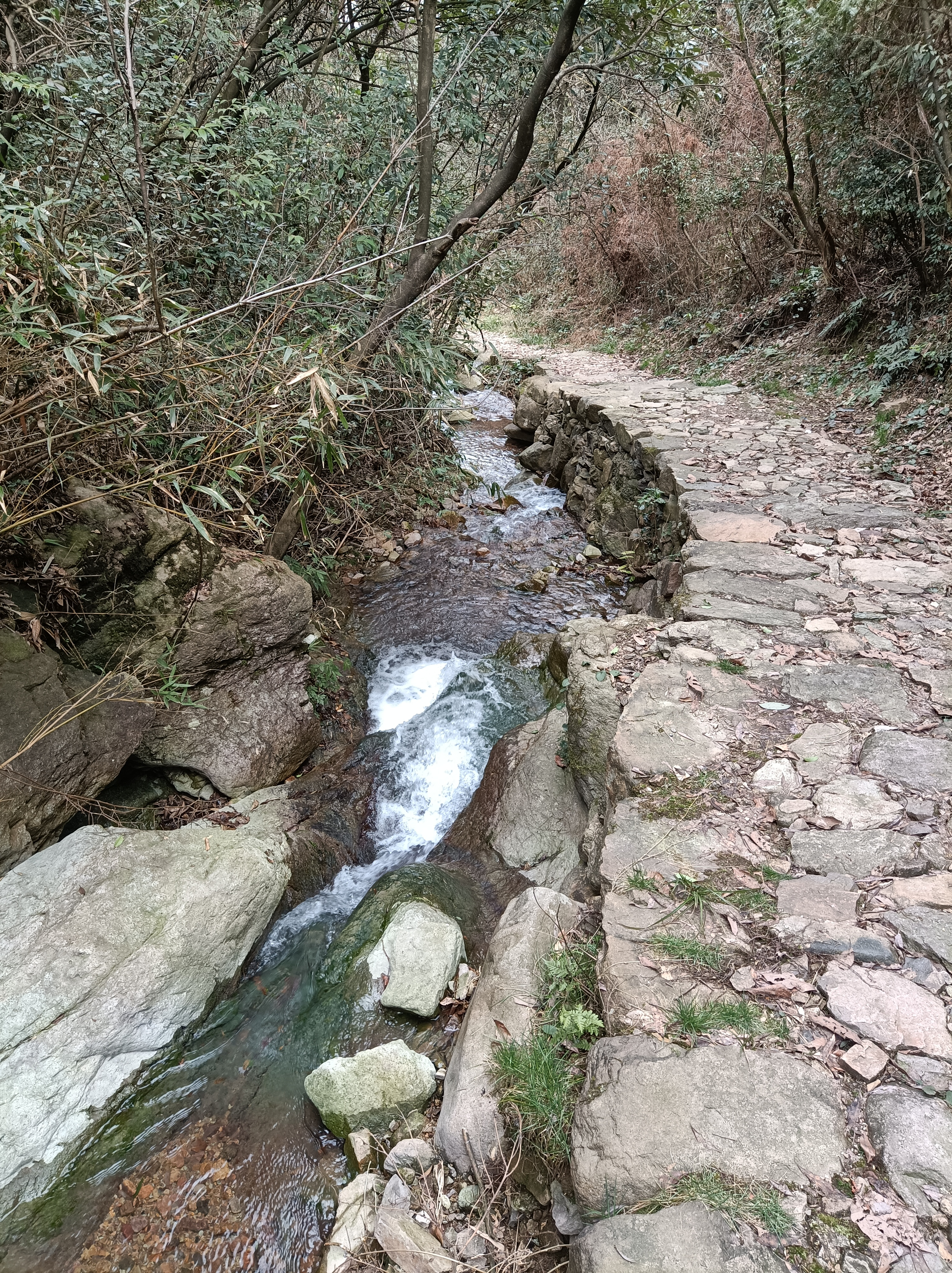 石门古道(廿四岗游步道)旅行图片 3