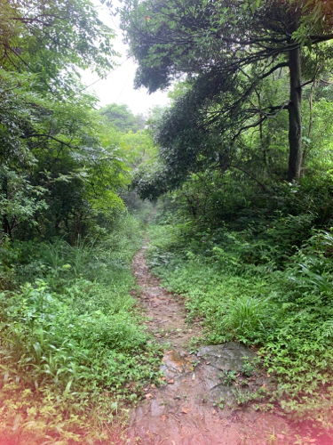 三月岭五里亭旅行图片 3