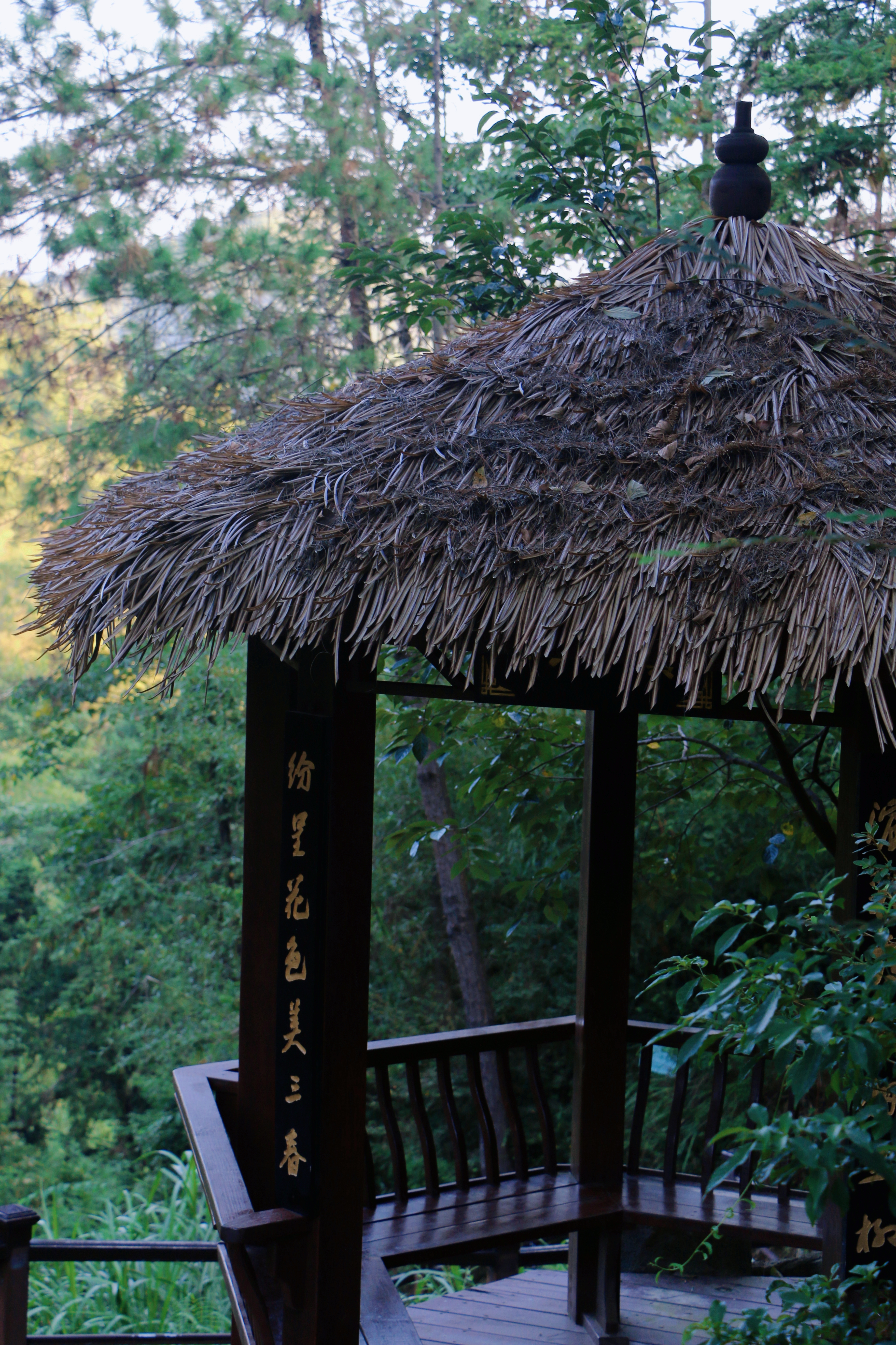 桃花源登山步道旅行图片 2