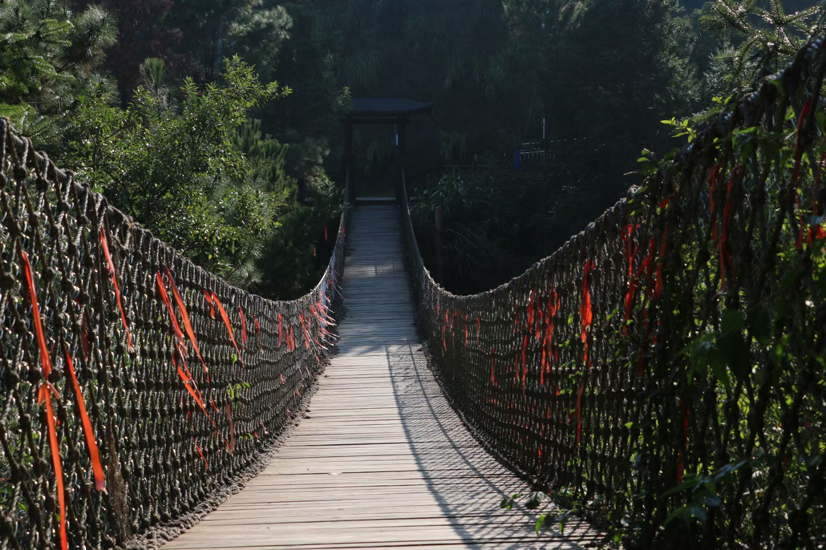 桃花源登山步道旅行图片 3