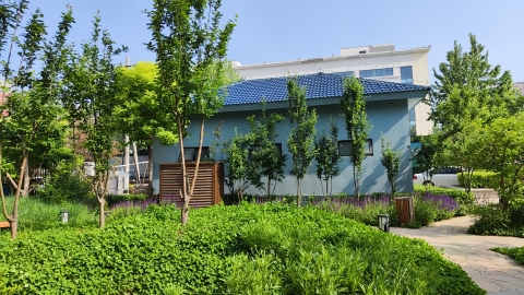 翠竹游园旅行图片 3