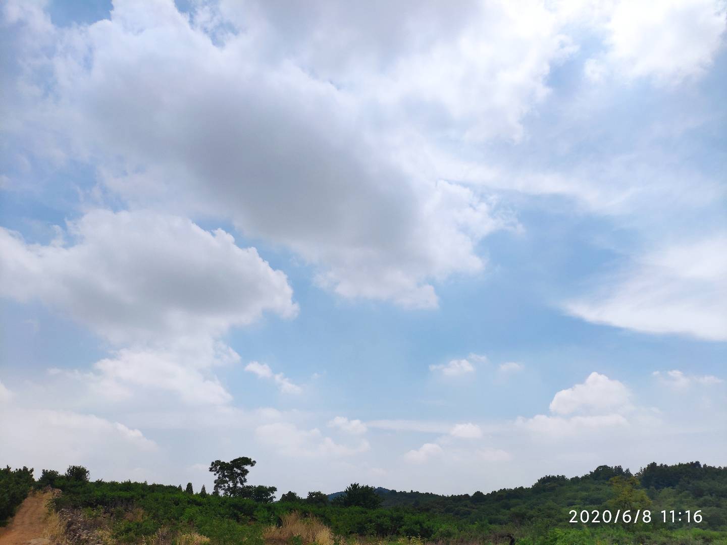 十里桃花观赏采摘点旅行图片 3