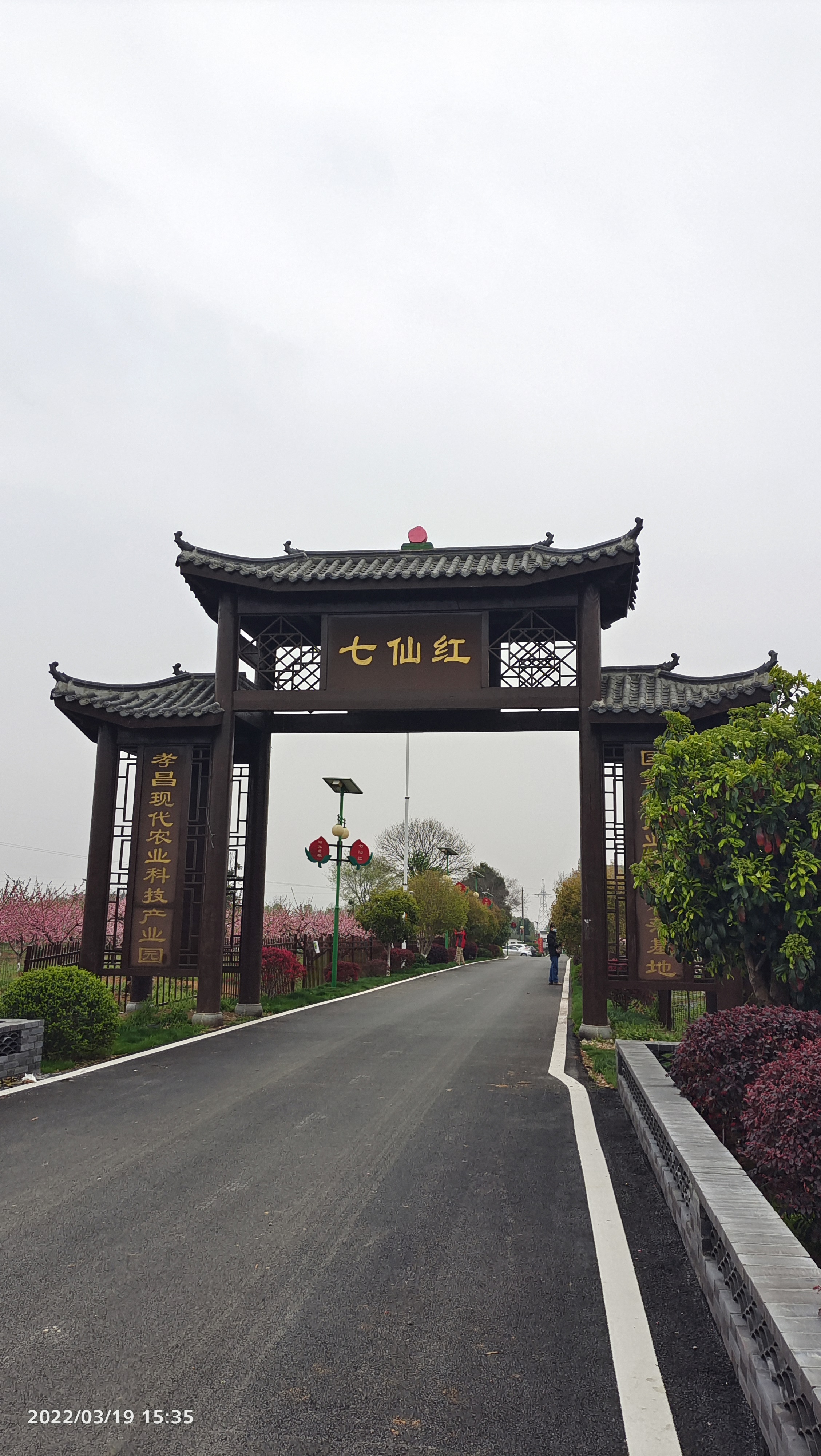 七仙红桃产业园