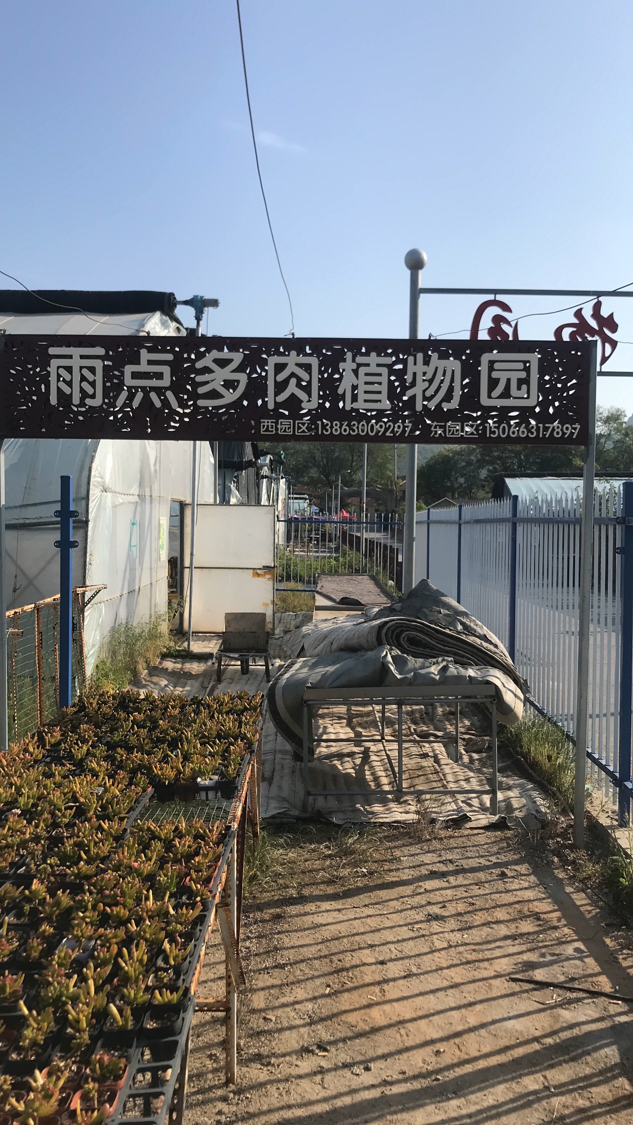 雨点多肉植物园
