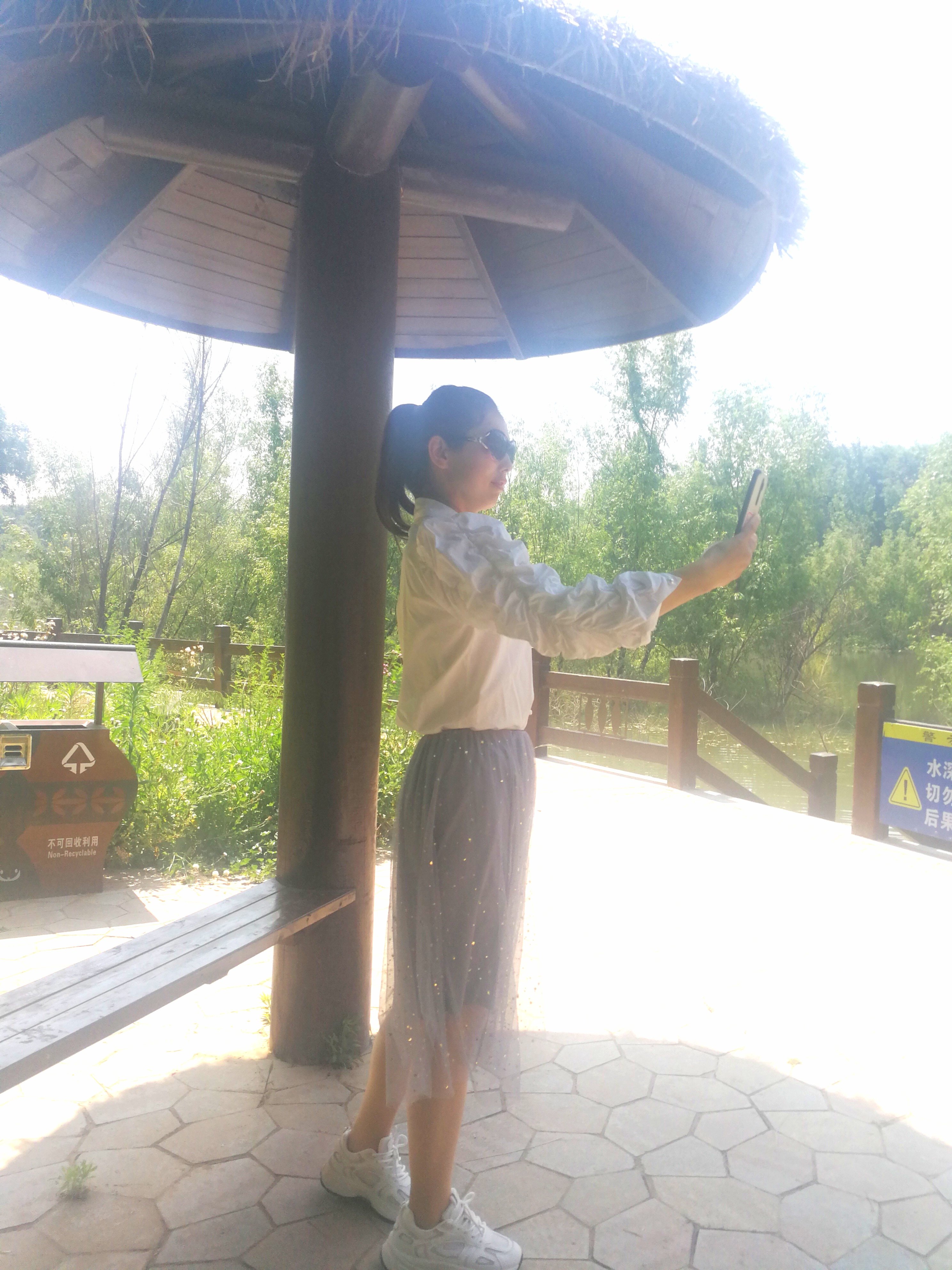 仰韶村国家考古遗址公园旅行图片 2