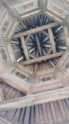 沙坝北公园旅行图片 1