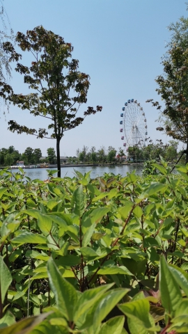 沙坝北公园旅行图片 3