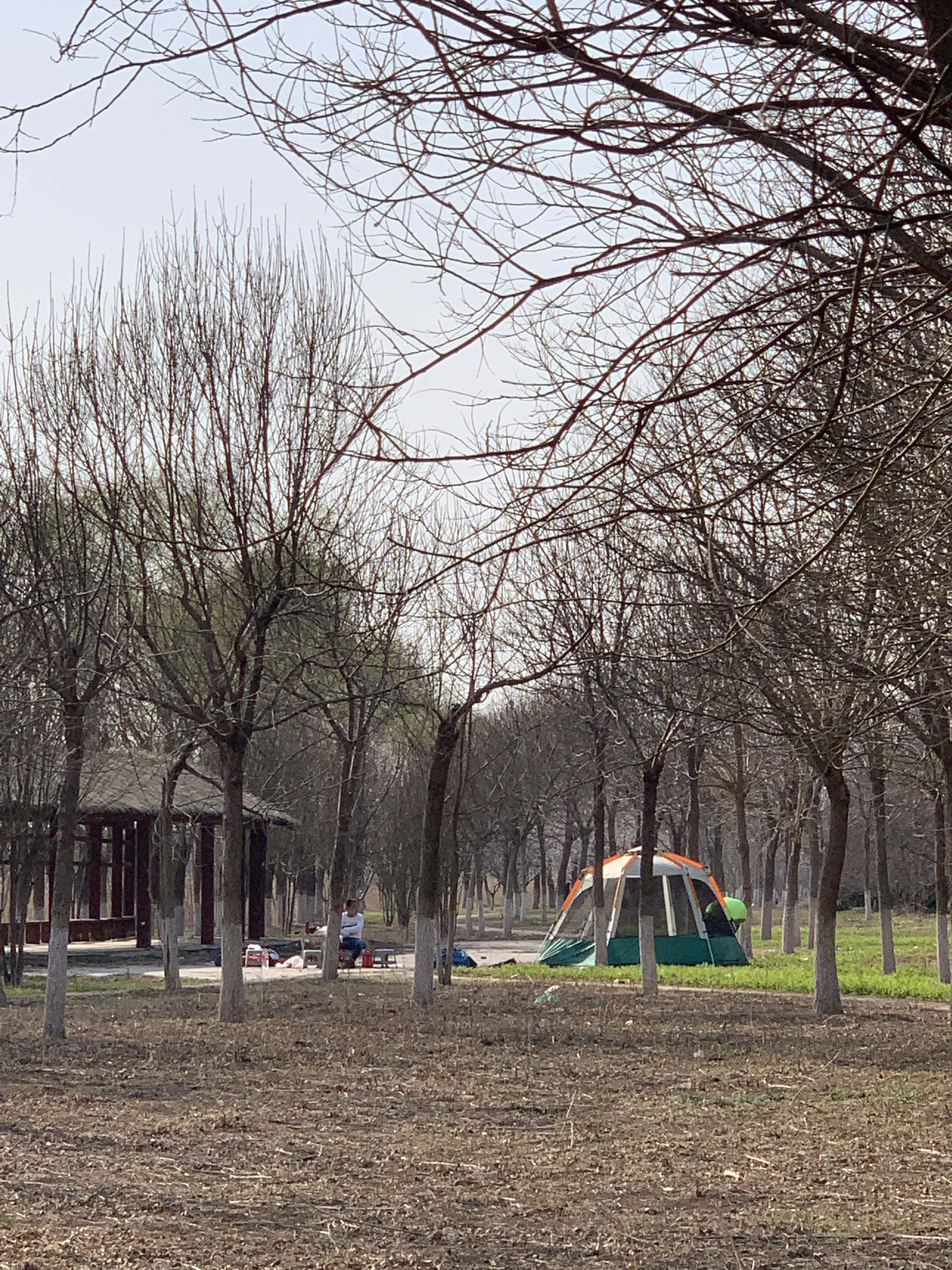 赤土吊桥旅行图片 3