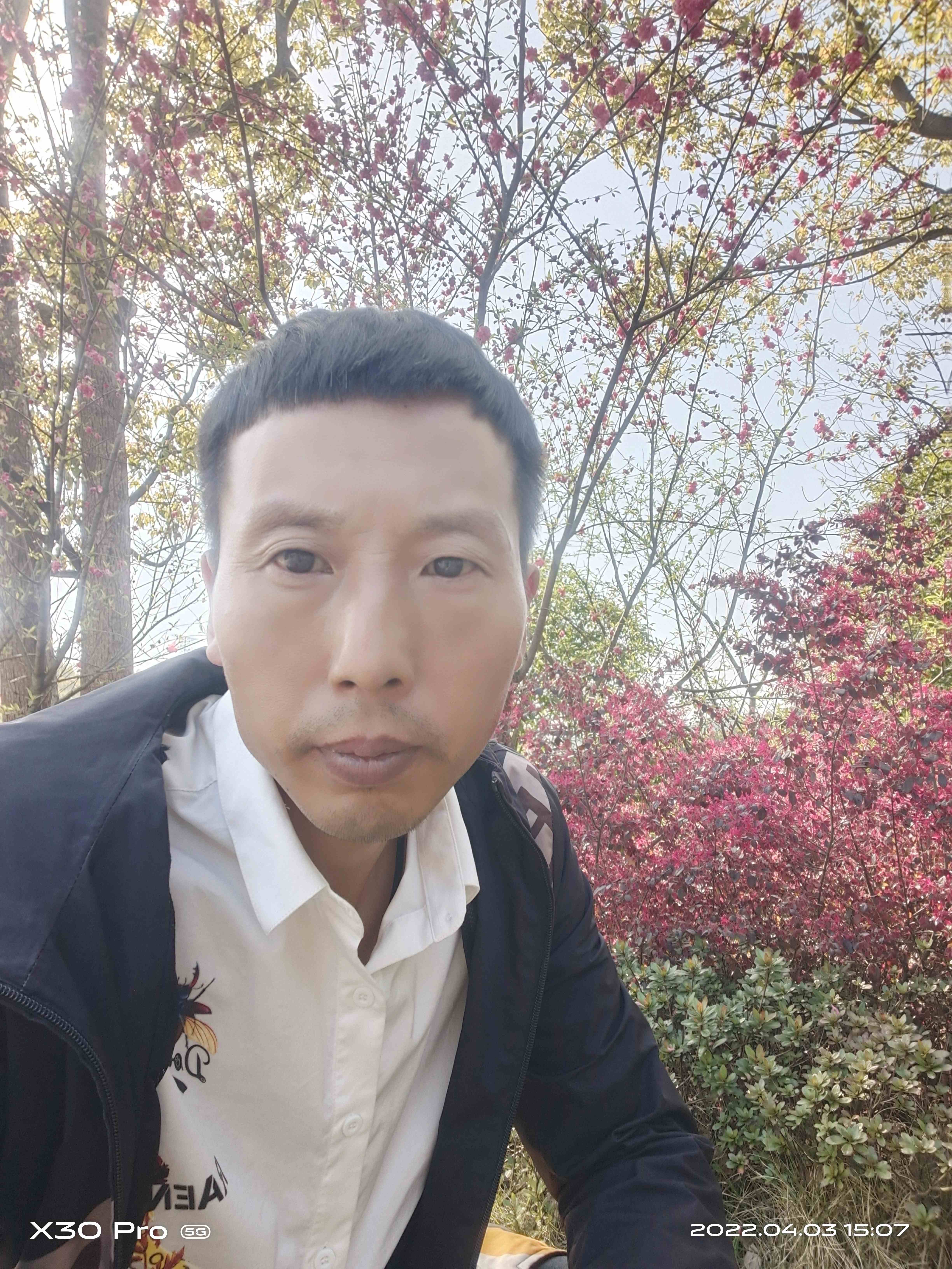 望海公园旅行图片 1