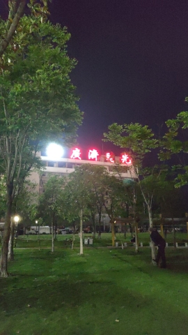 滨江公园旅行图片 2