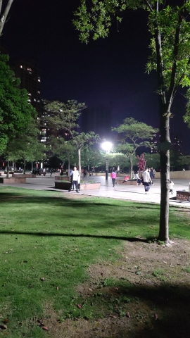 滨江公园旅行图片 3