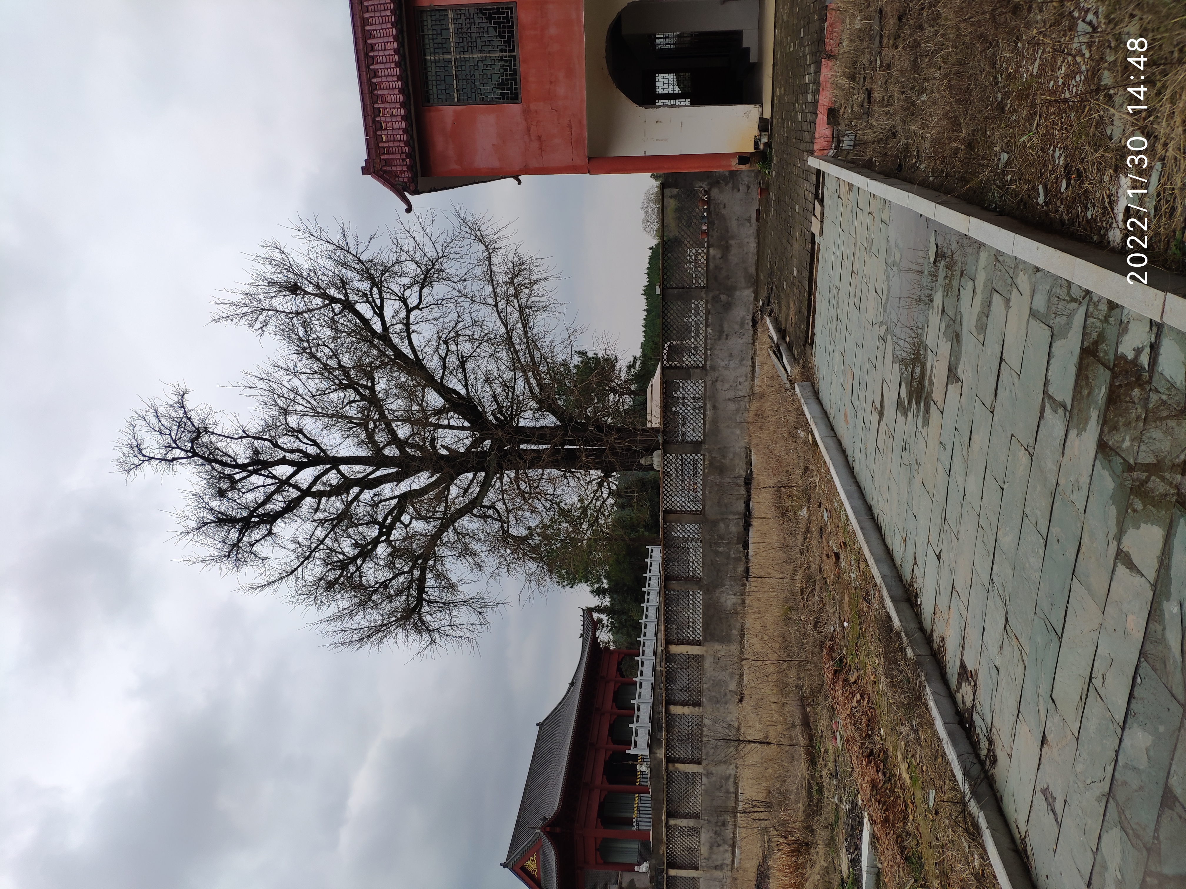 十王古寺旅行图片 1