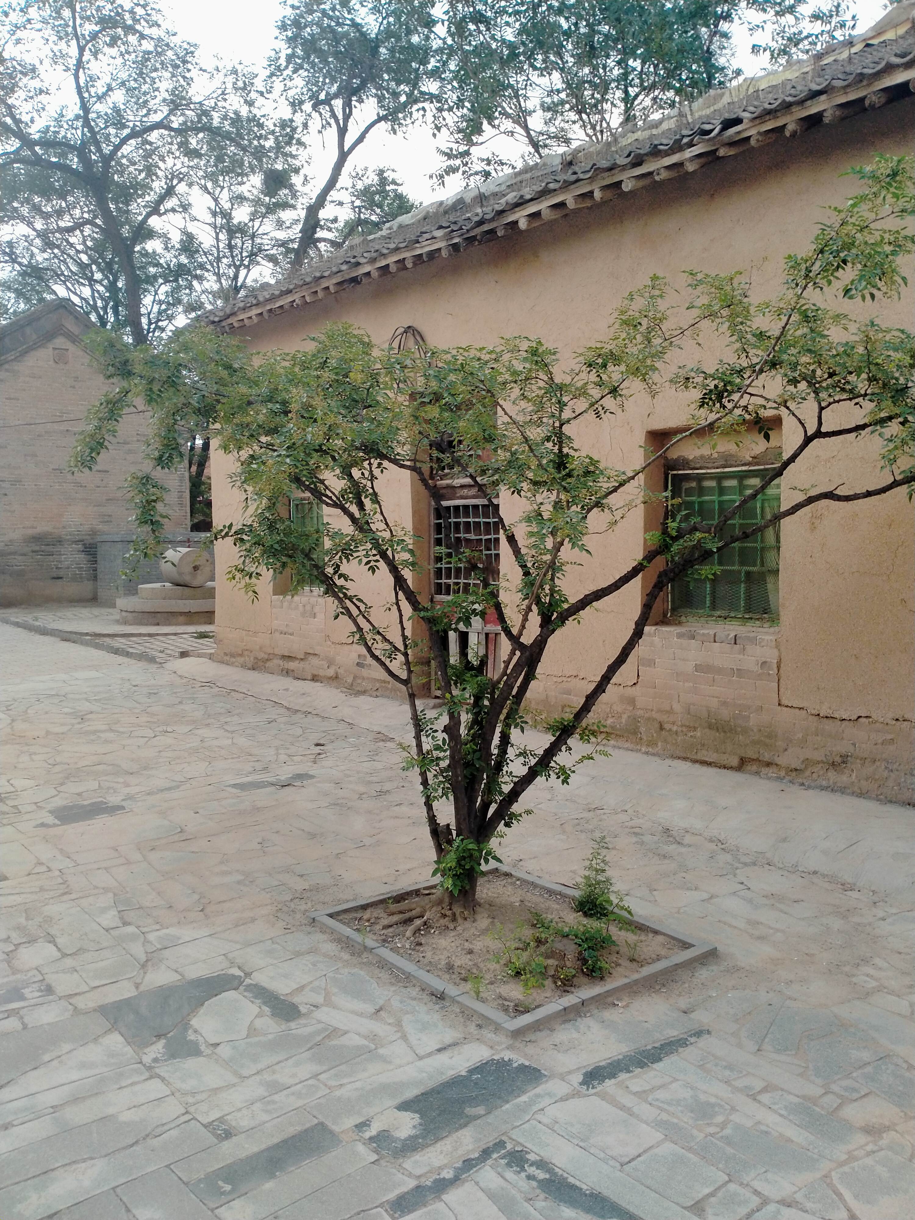 西社村(古村落)旅行图片 3