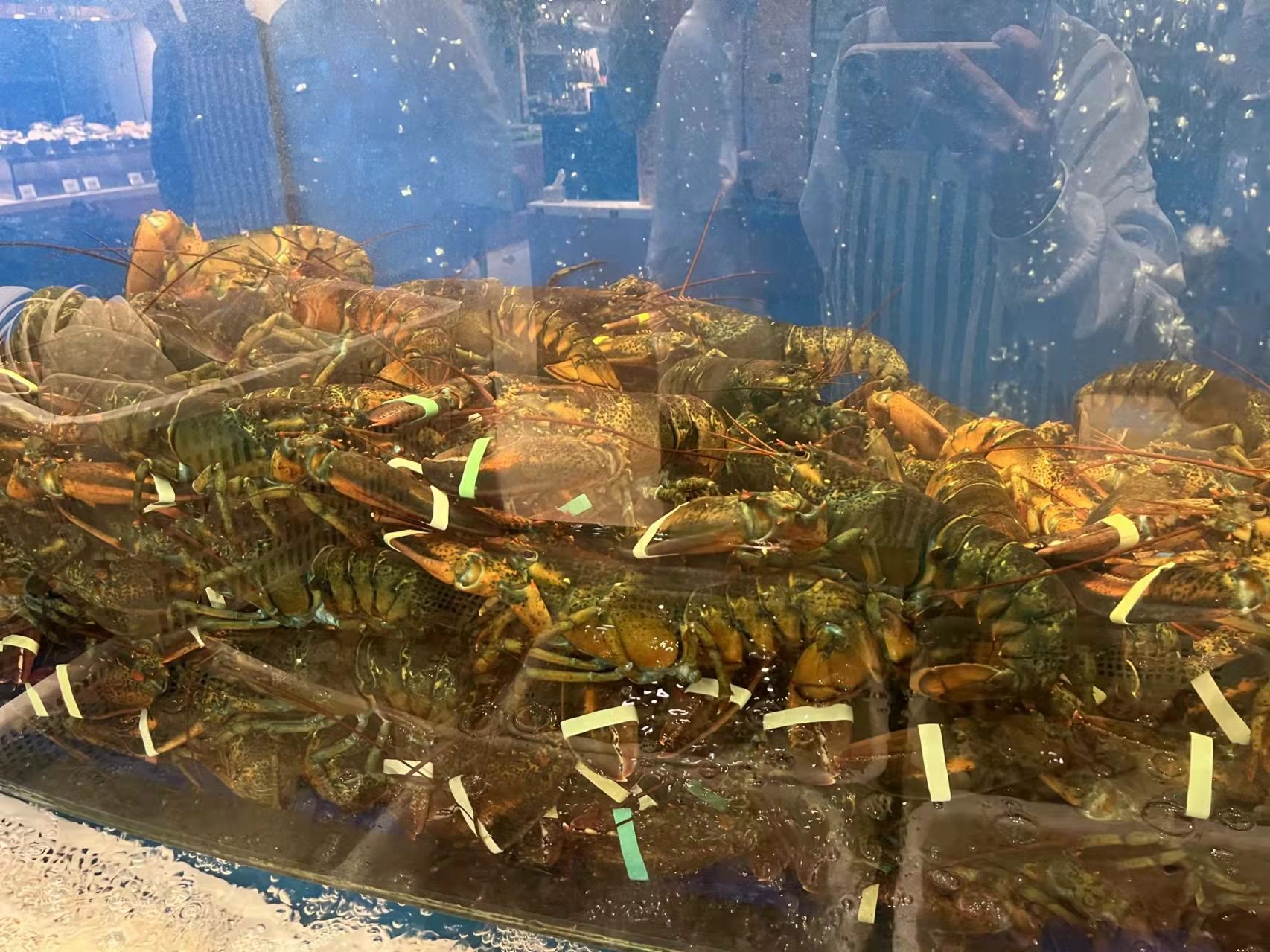第六季自助餐厅(中关村大厦店)