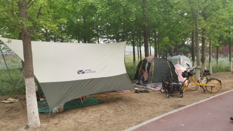 场地封面-槐新公园露营营地