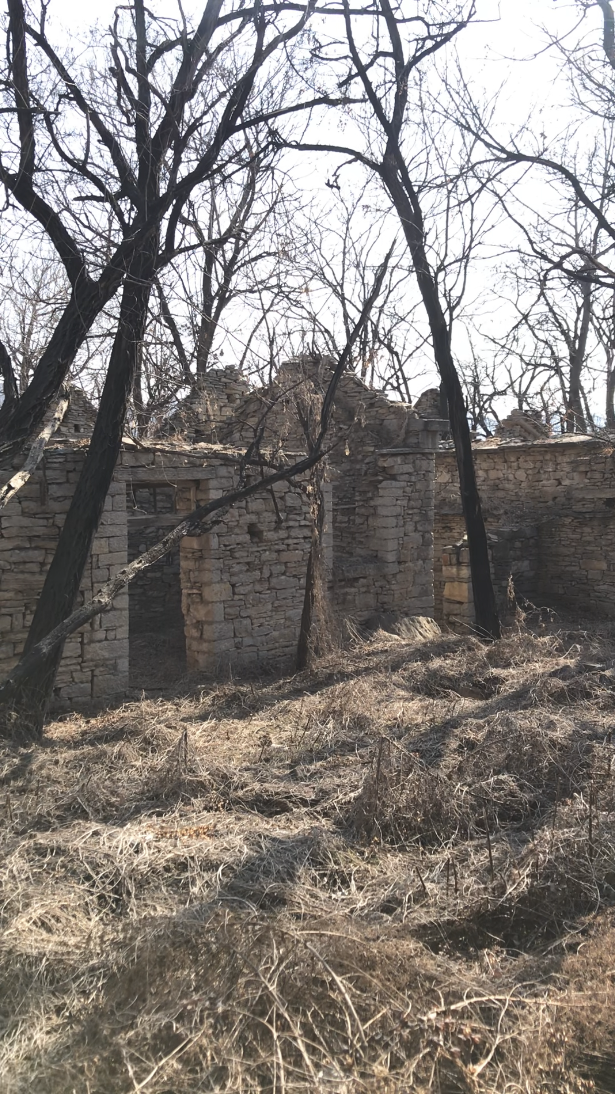 凤凰村瀑布旅行图片 1