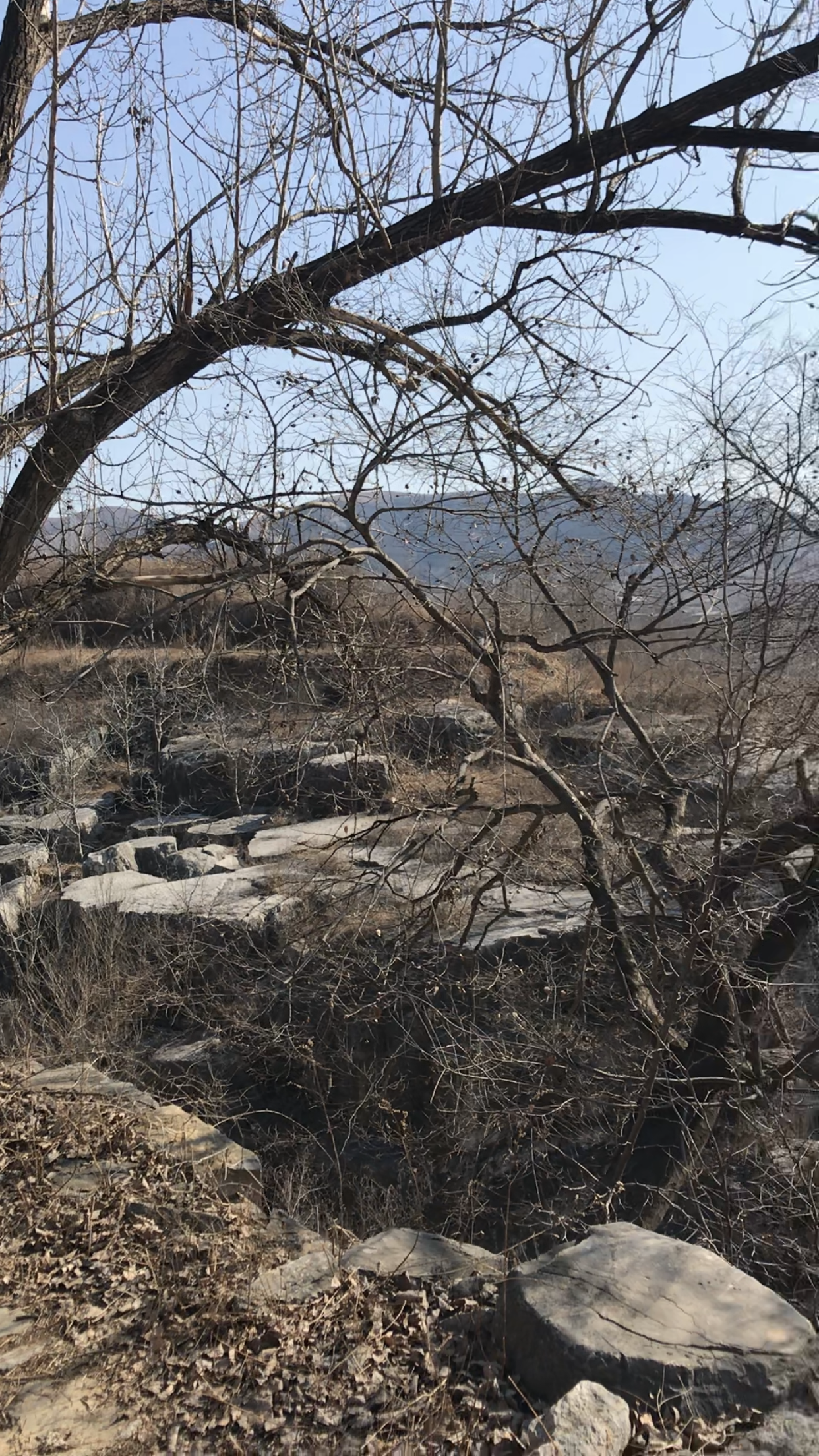 凤凰村瀑布旅行图片 2