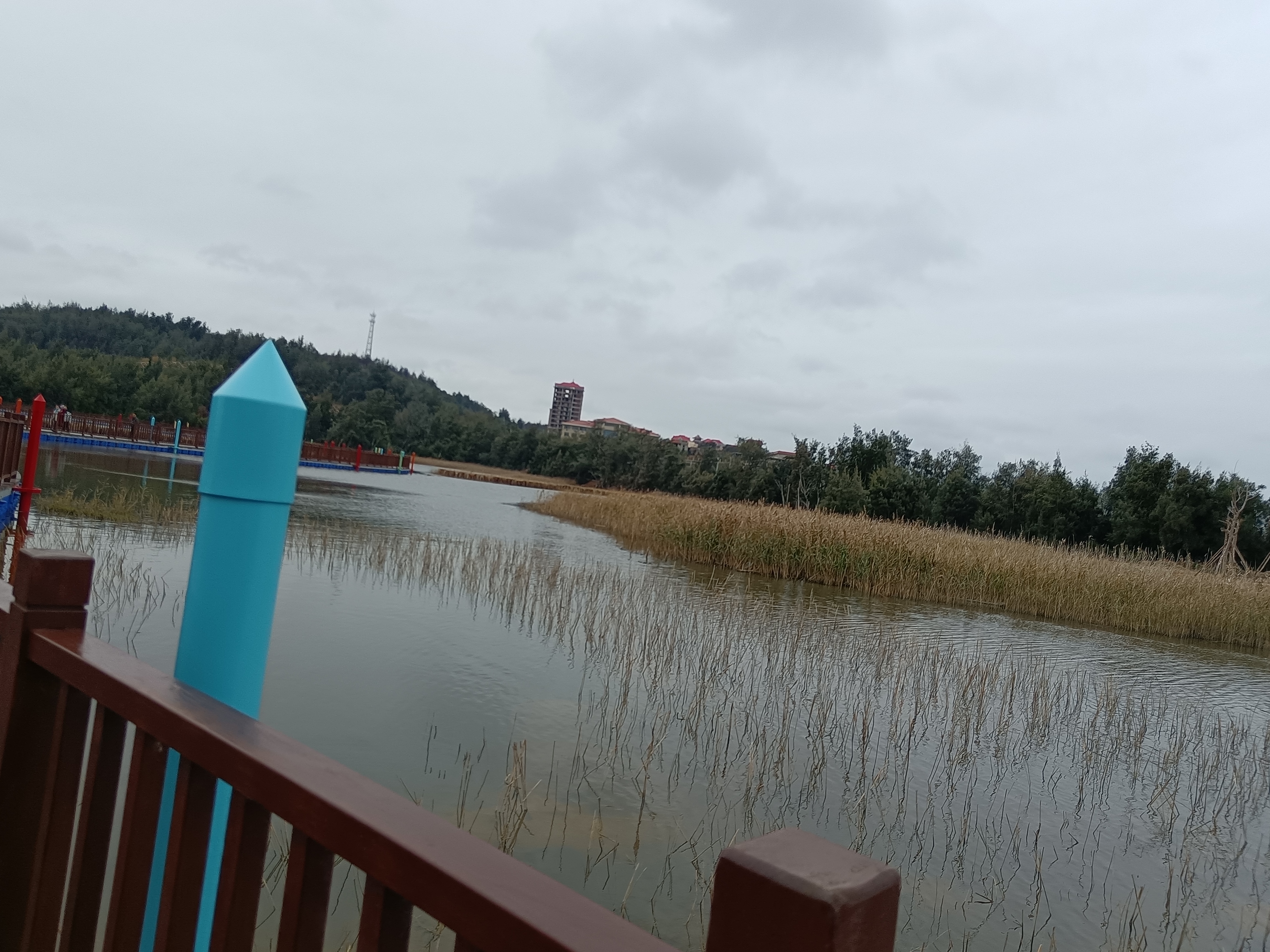 紫玉湖湿地公园旅行图片 3