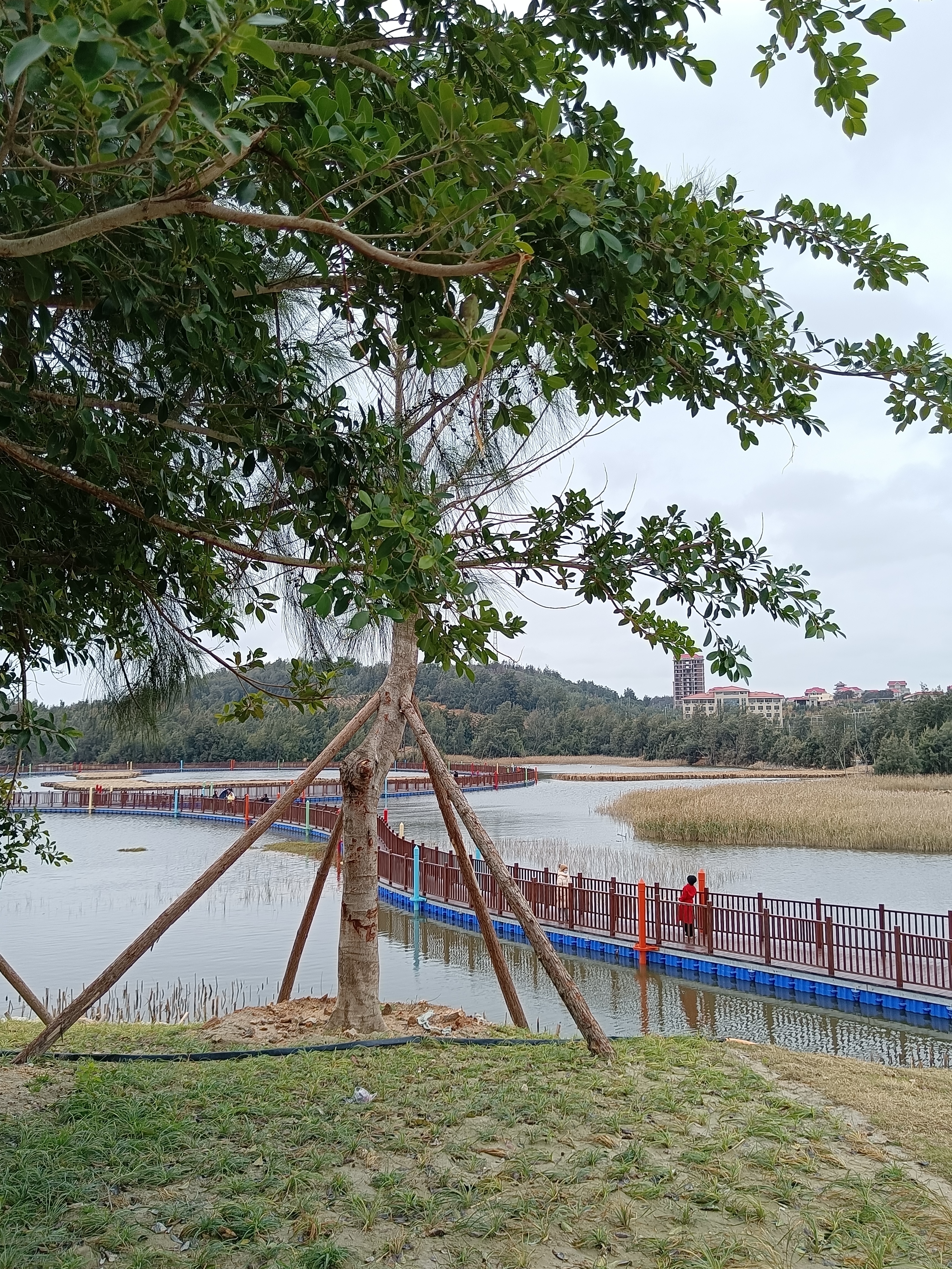 紫玉湖湿地公园旅行图片 2