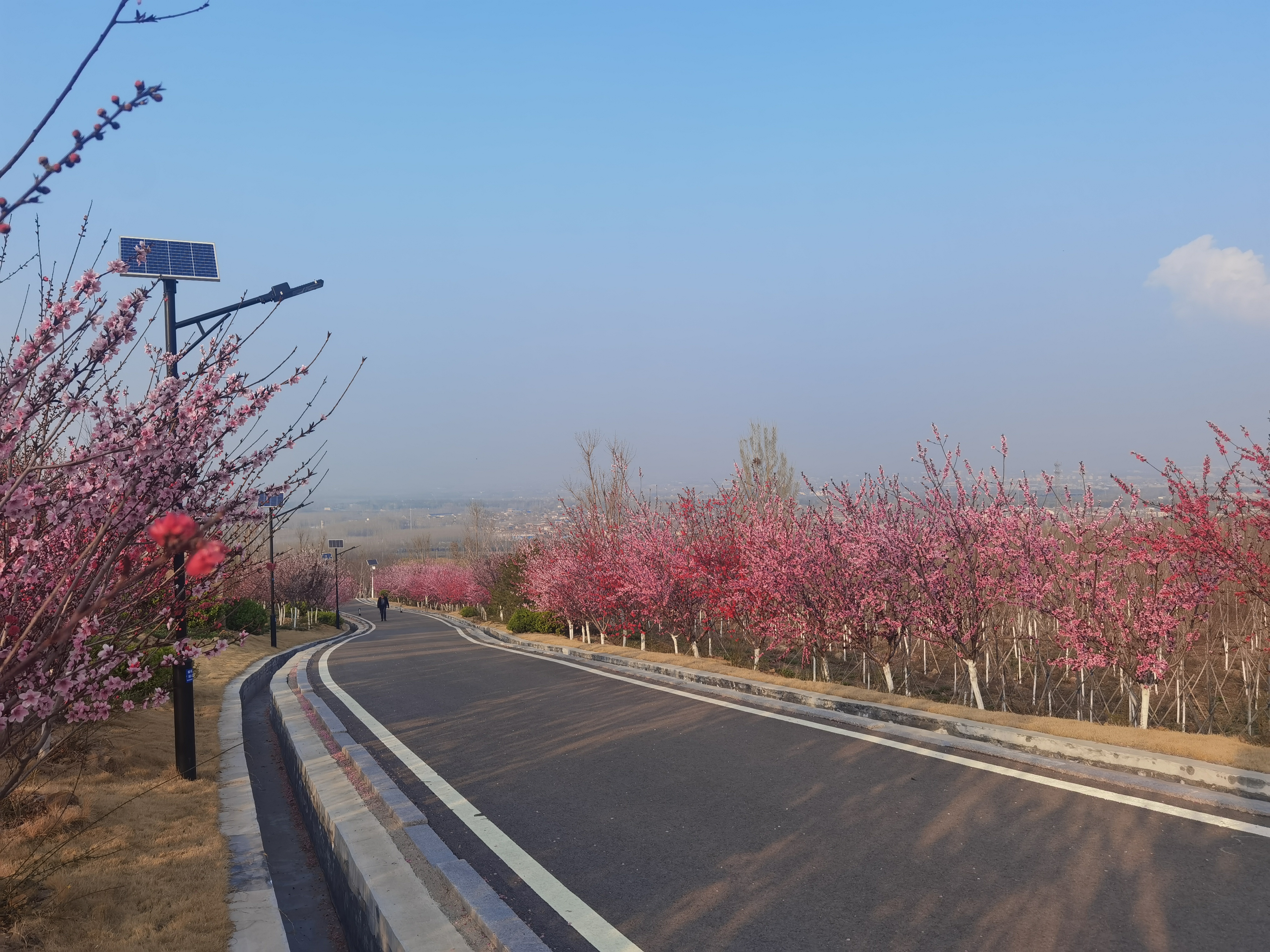 赭山山体公园旅行图片 2