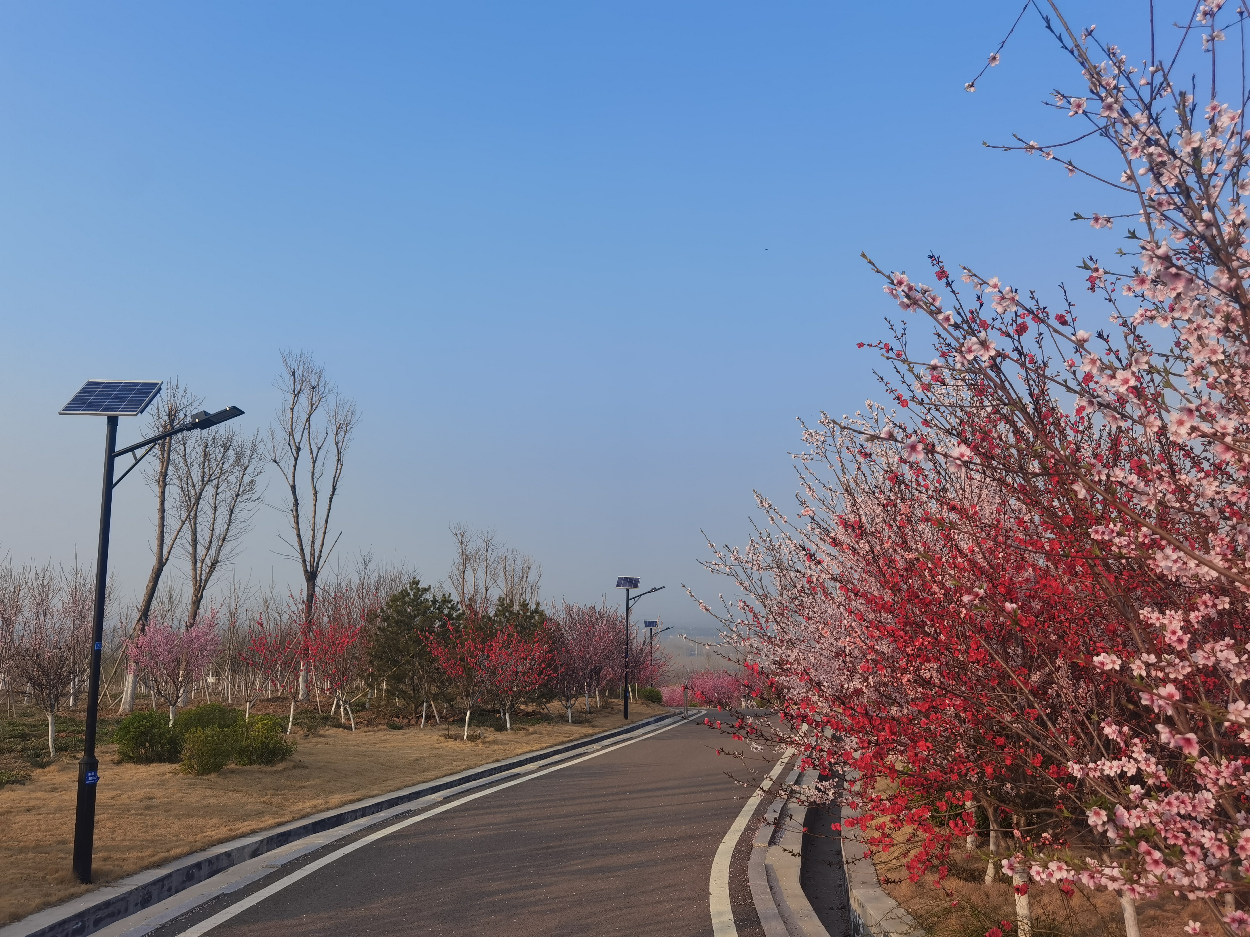 赭山山体公园旅行图片
