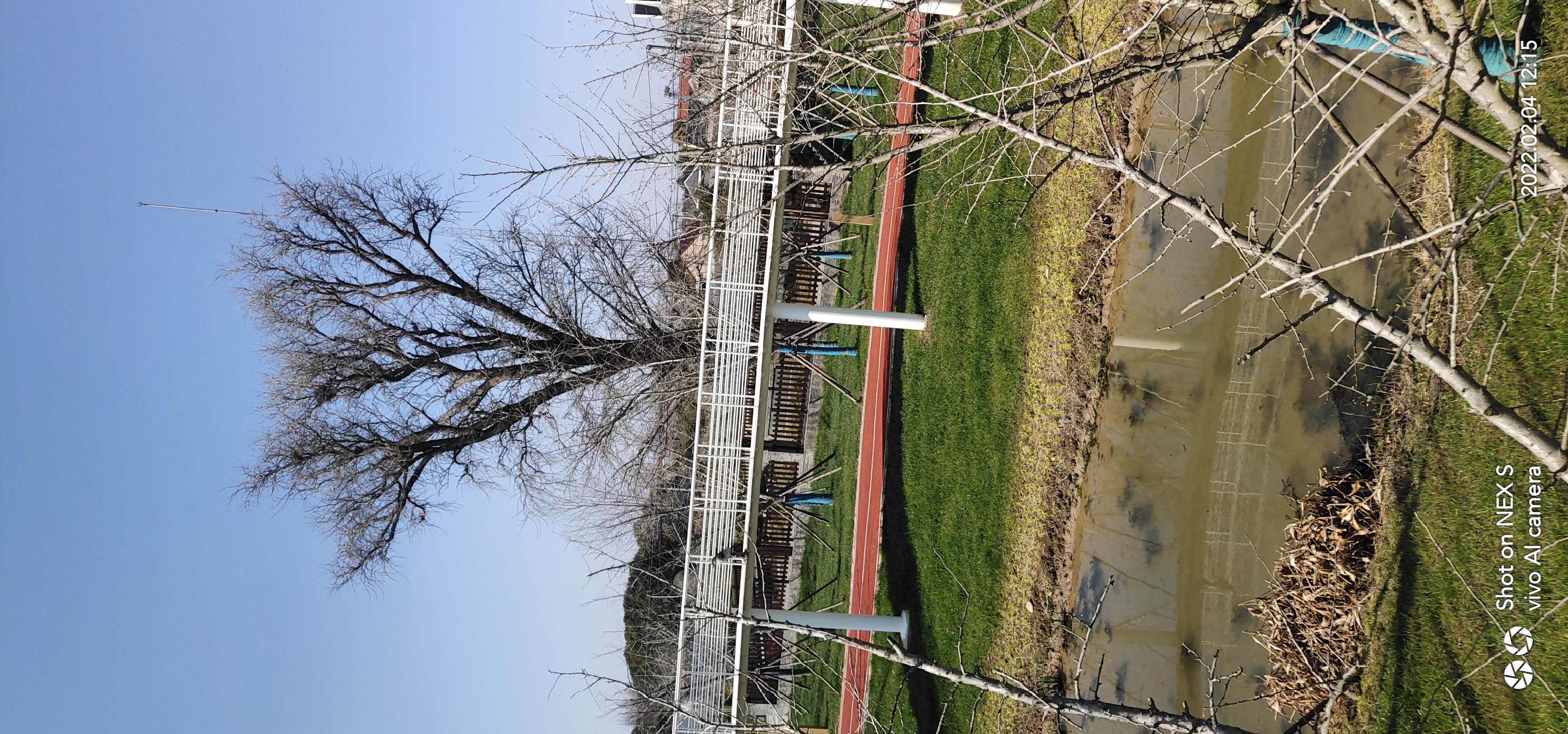 古银杏公园旅行图片 1