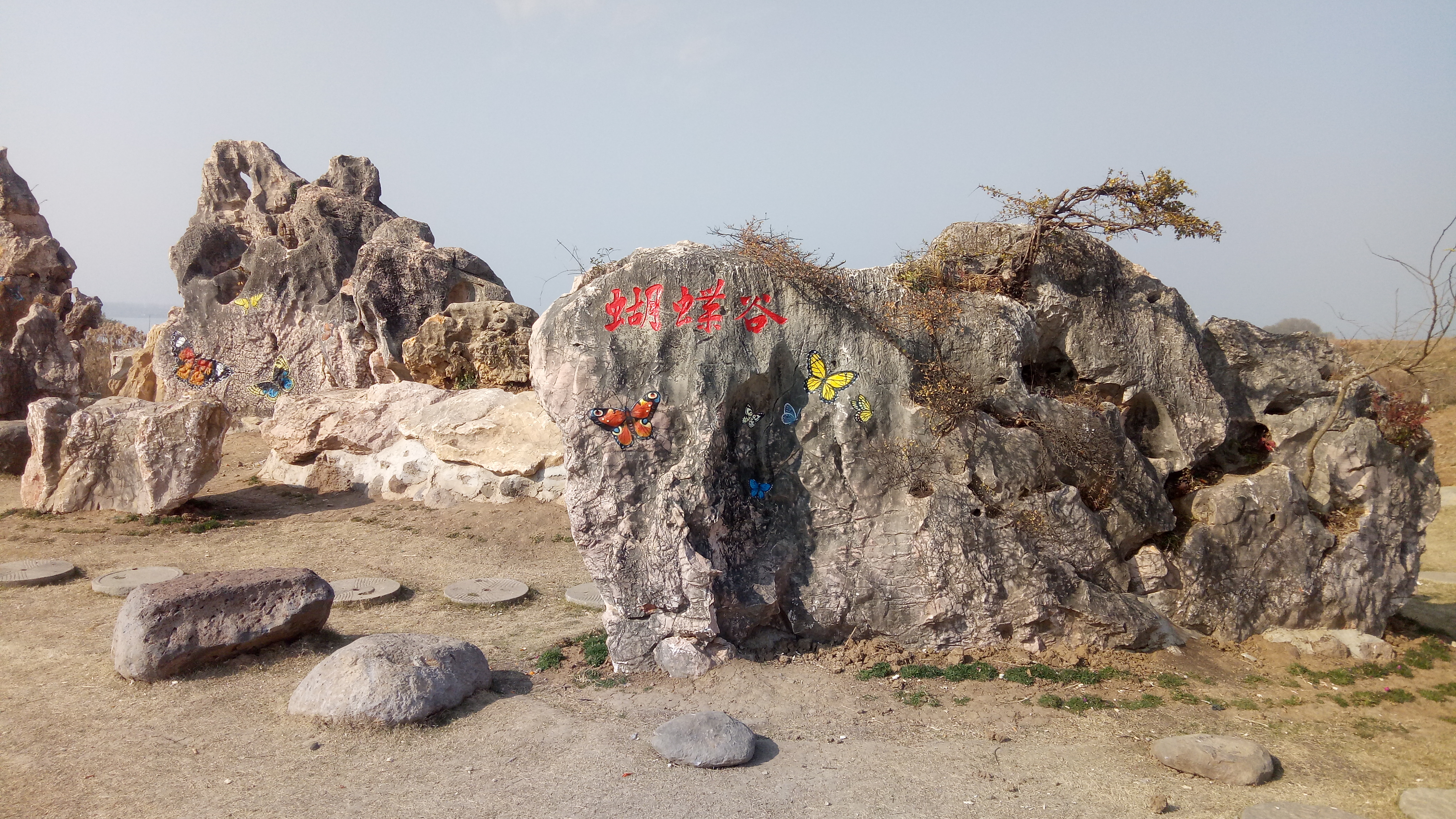 蝴蝶谷旅行图片 1