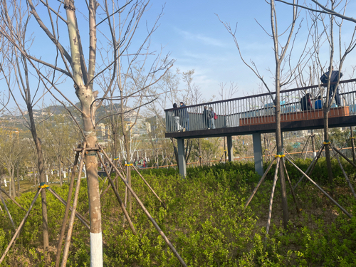 望岳康体公园旅行图片 1