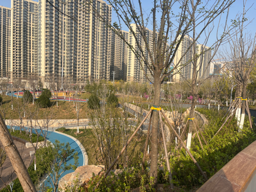 望岳康体公园旅行图片 2